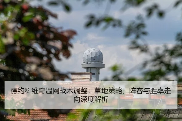 de-yue-ke-wei-qi-wen-wang-zhan-shu-tiao-zheng-cao-di-ce-lve-zhen-rong-yu-sheng-lv-zou-xiang-shen-du-jie-xi-1-340.jpg